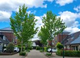 koop  Veenendaal  De Clercqstraat 15 – Foto 16